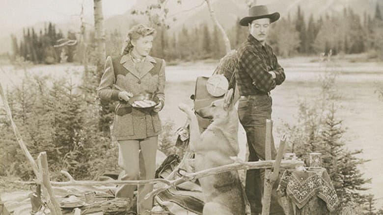 Northwest Stampede still