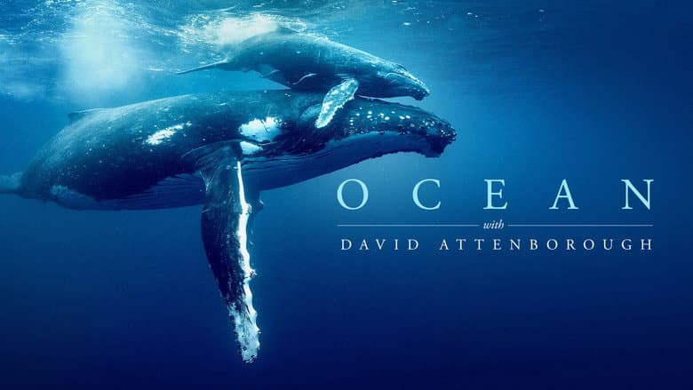 Ocean with David Attenborough still