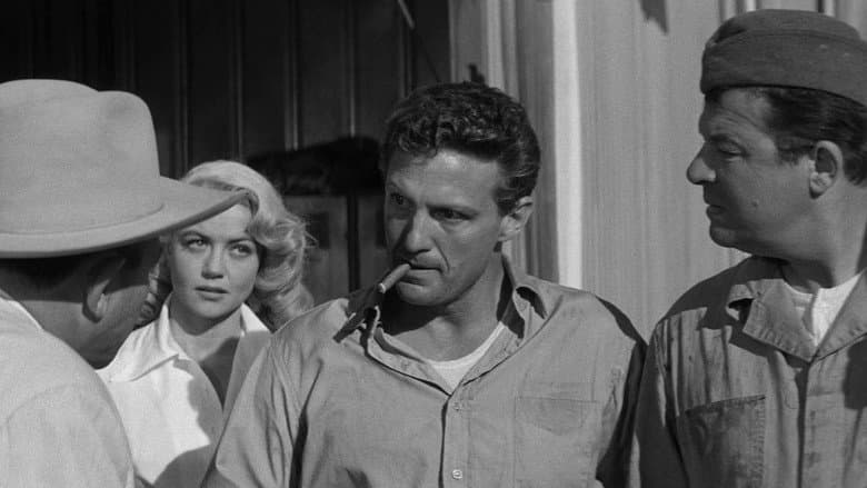 The Tarnished Angels still