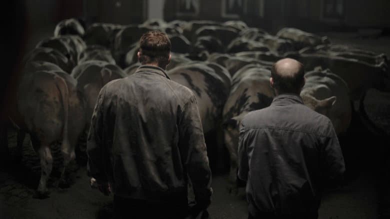 Bullhead still
