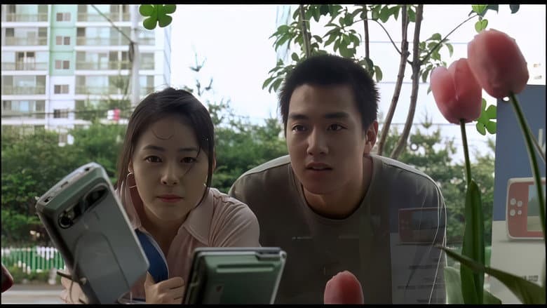 Sunflower still