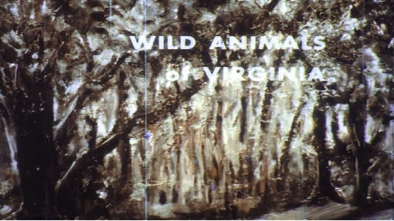 Wild Animals of Virginia still