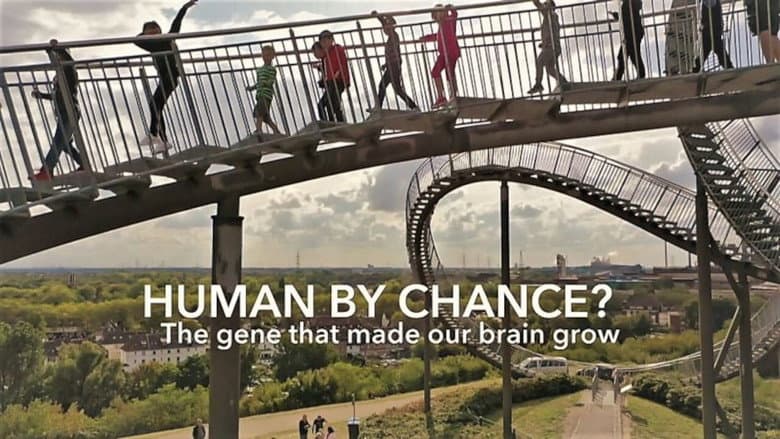 Human By Chance? still