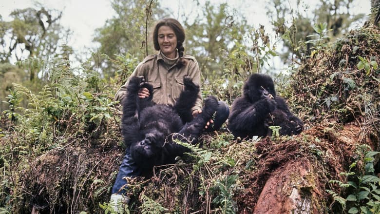 Dian Fossey: Ihr Leben für die Gorillas still