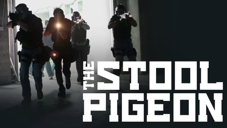 The Stool Pigeon still