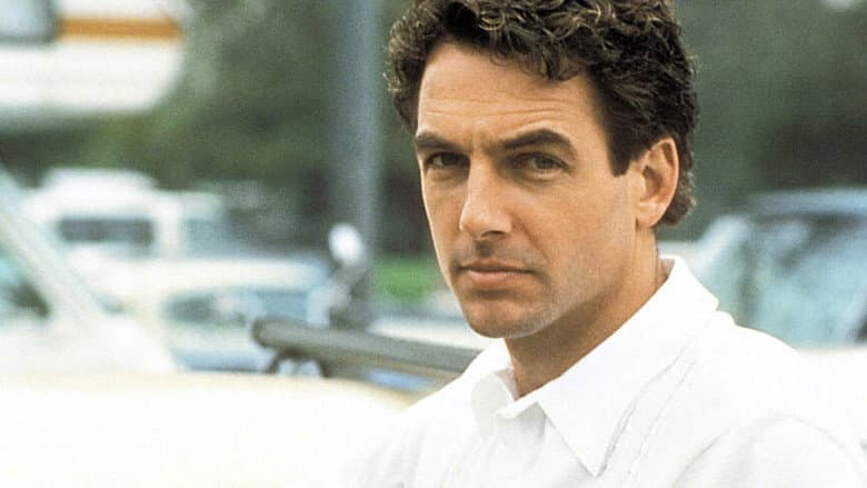 The Deliberate Stranger still