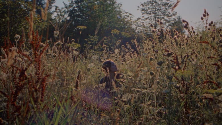 Inedia still