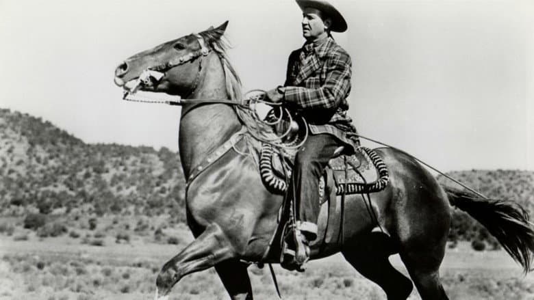The Strawberry Roan still