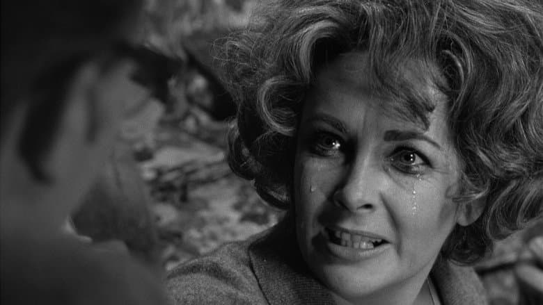 Who's Afraid of Virginia Woolf? still