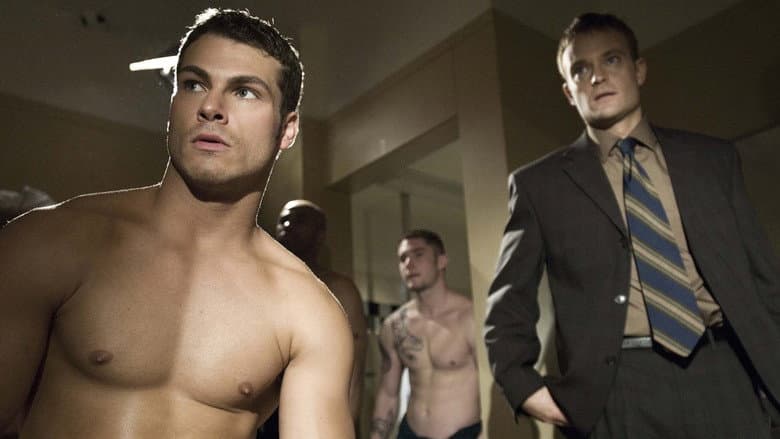 Shock to the System: A Donald Strachey Mystery still