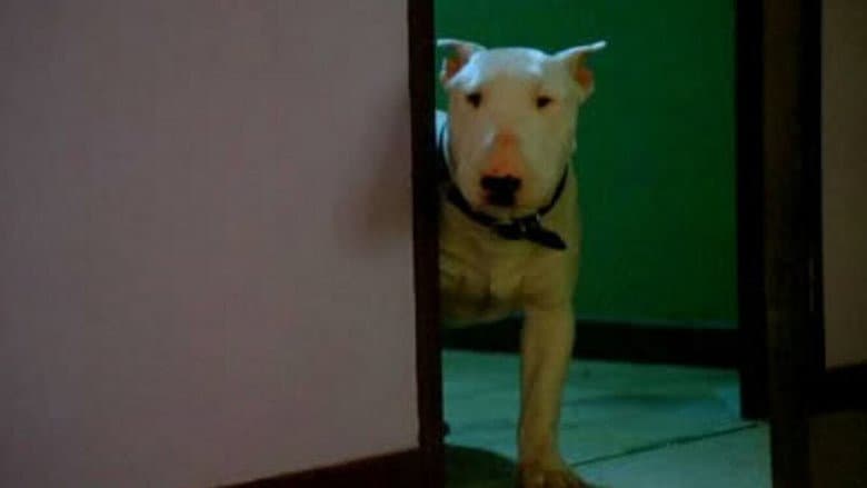 Baxter still