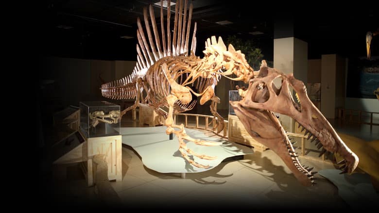 Top 10 Biggest Beasts Ever still