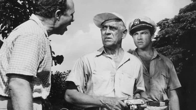 Voodoo Island still