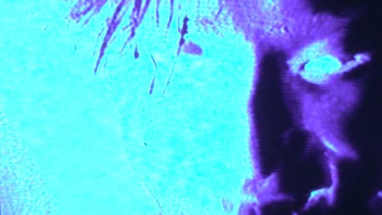 G.I.S.M.「Rushing Waves of Sound 911」 still