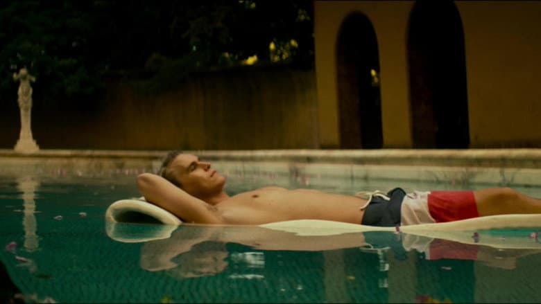 American Pets still