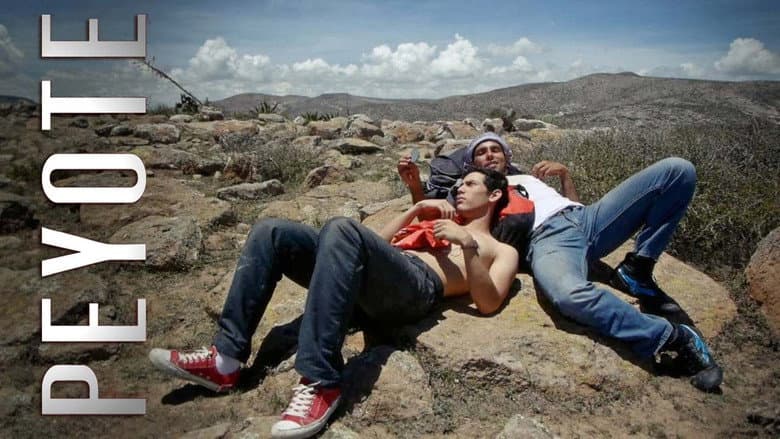 Peyote still