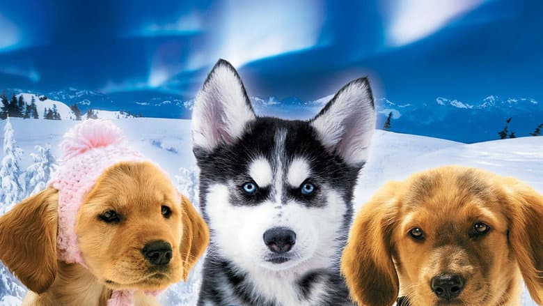 Snow Buddies still