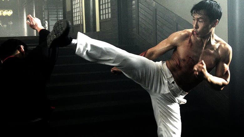 Legend of the Fist: The Return of Chen Zhen still