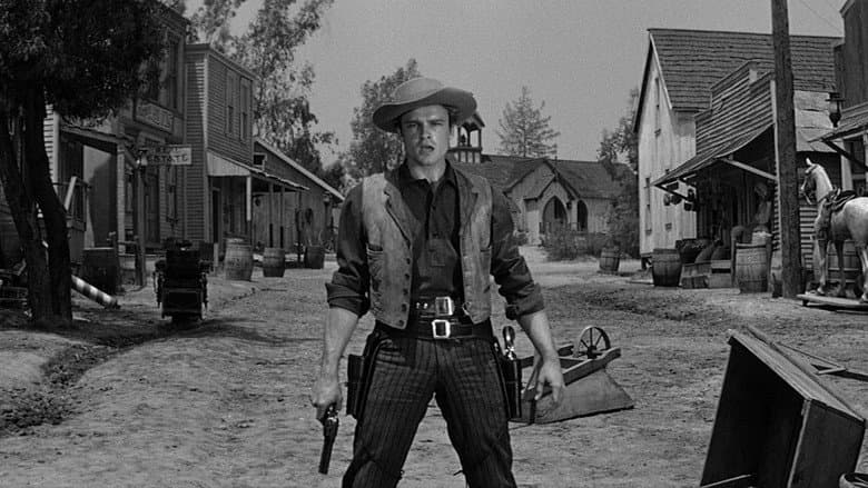 Forty Guns still