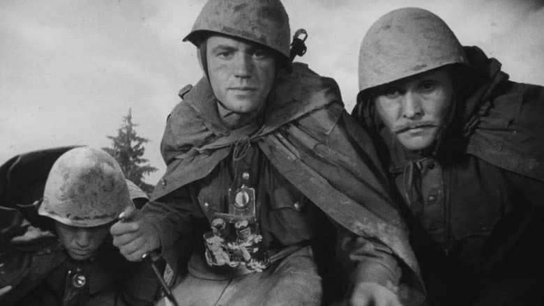 Son of the Regiment still
