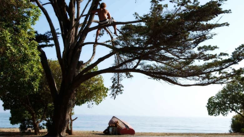 Surfer, Dude still
