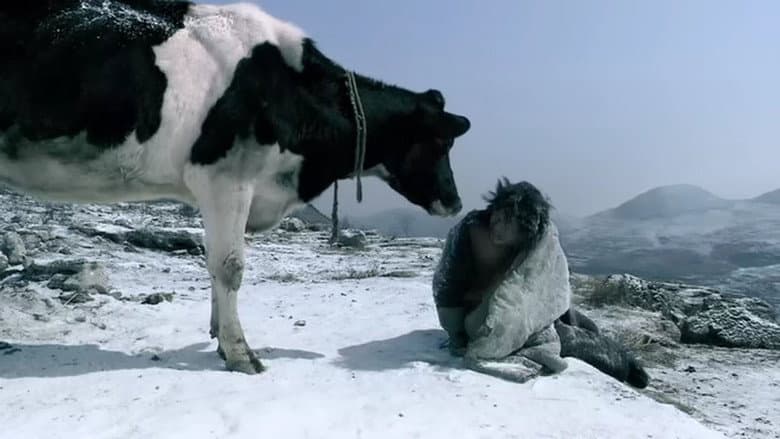 Cow still