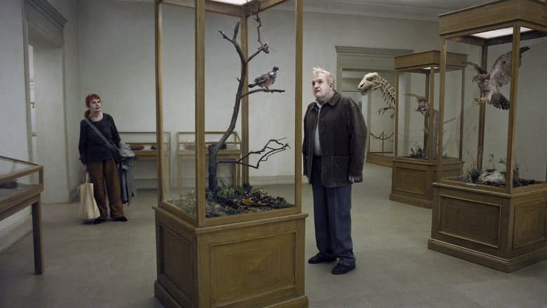 A Pigeon Sat on a Branch Reflecting on Existence still