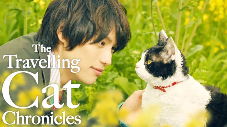 The Travelling Cat Chronicles still