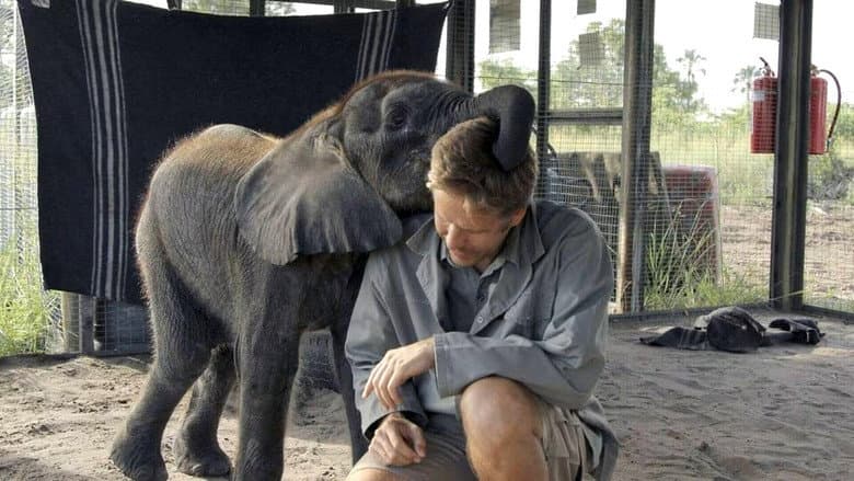Naledi: A Baby Elephant's Tale still