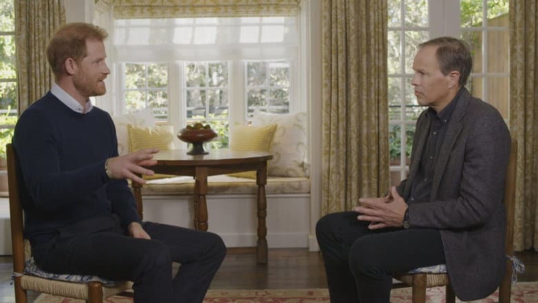 Harry: The Interview still