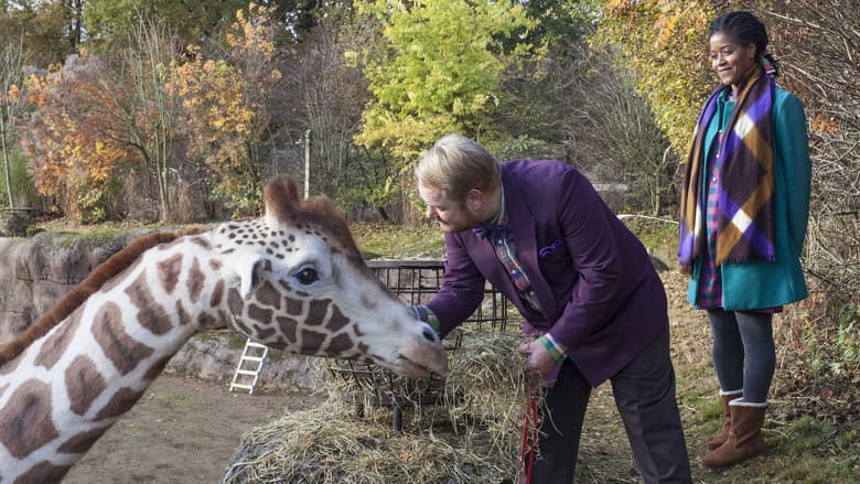 My Giraffe still