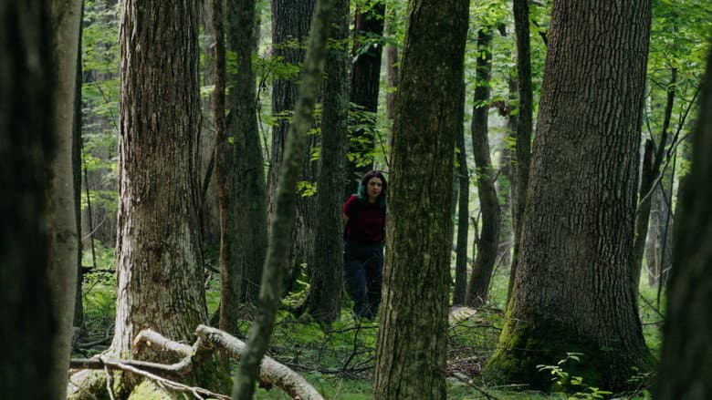 Through The Trees still