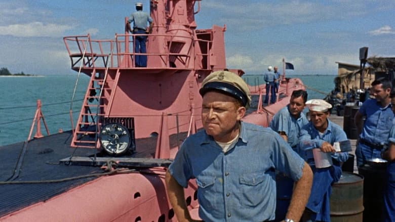 Operation Petticoat still