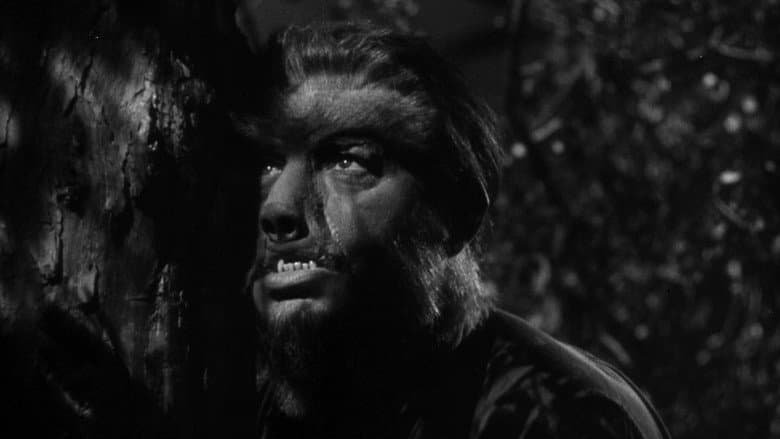 Frankenstein Meets the Wolf Man still