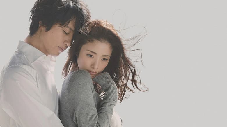 Hirugao still
