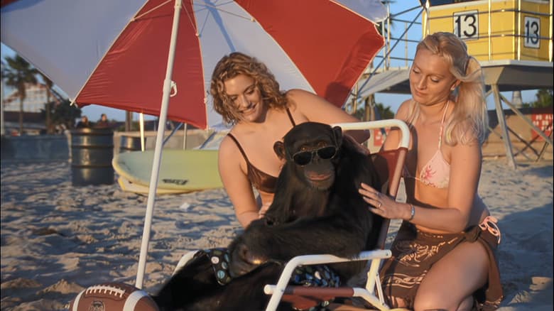 Funky Monkey still