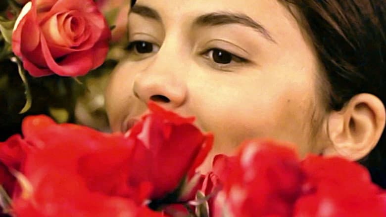 He Loves Me… He Loves Me Not still