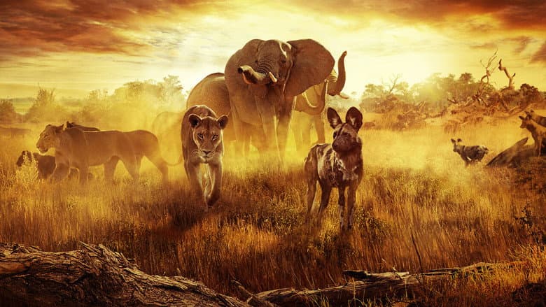 Surviving Paradise: A Family Tale still