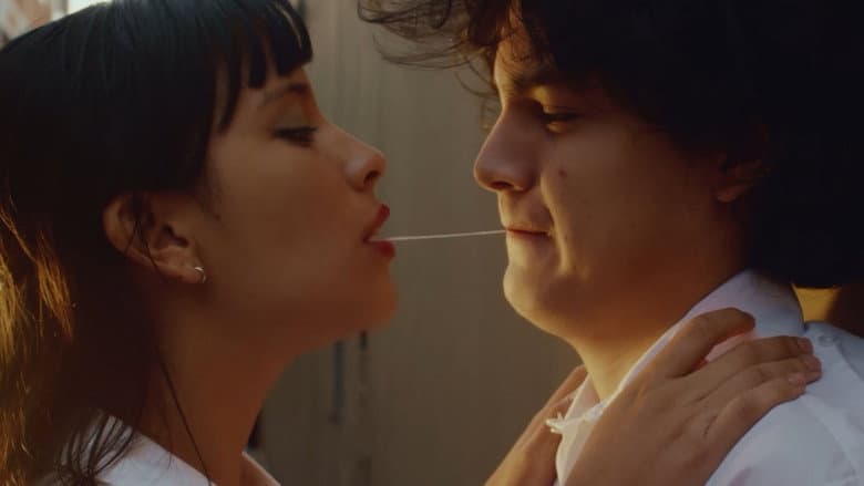 Al amor se ha dicho still