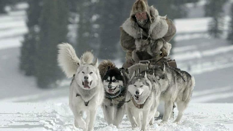 The Great Alaskan Race still