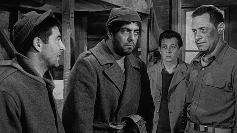 Stalag 17 still