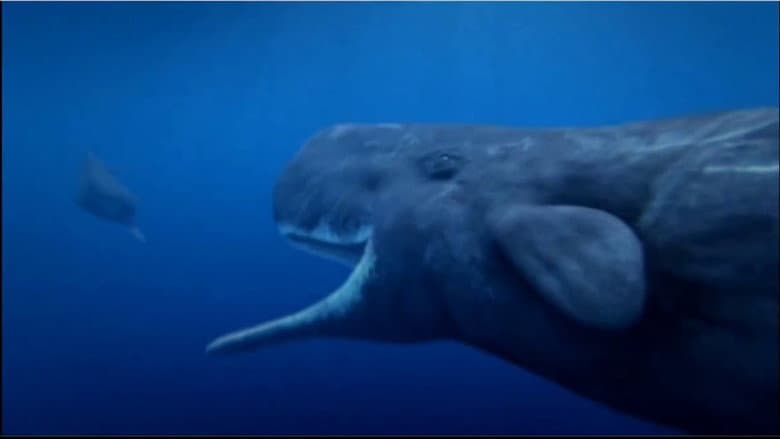 Ocean Odyssey still