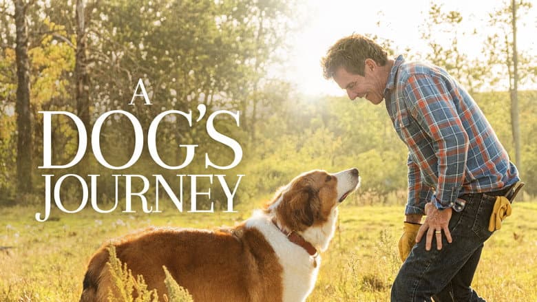 A Dog's Journey still