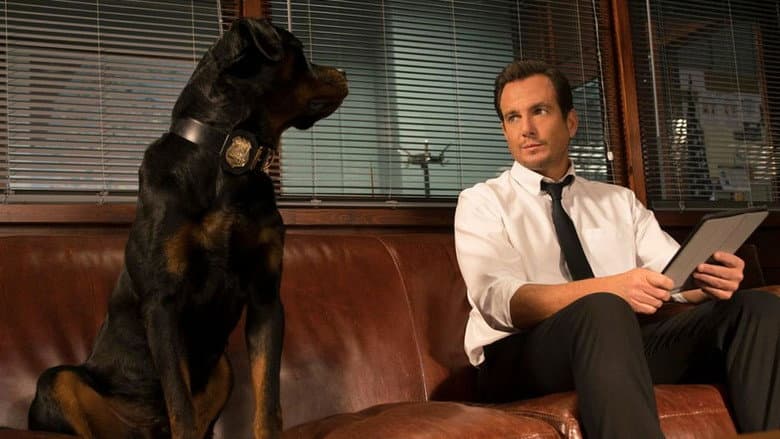 Show Dogs still