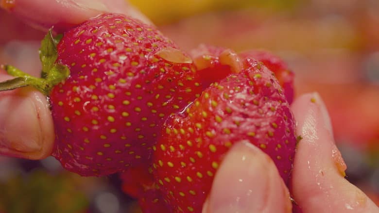 Fruity still