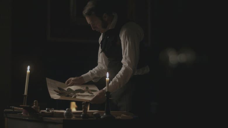 Tea War: The Adventures of Robert Fortune still