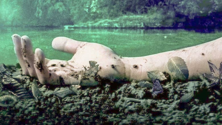 Mean Creek still