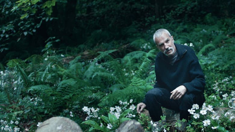 Anemone still