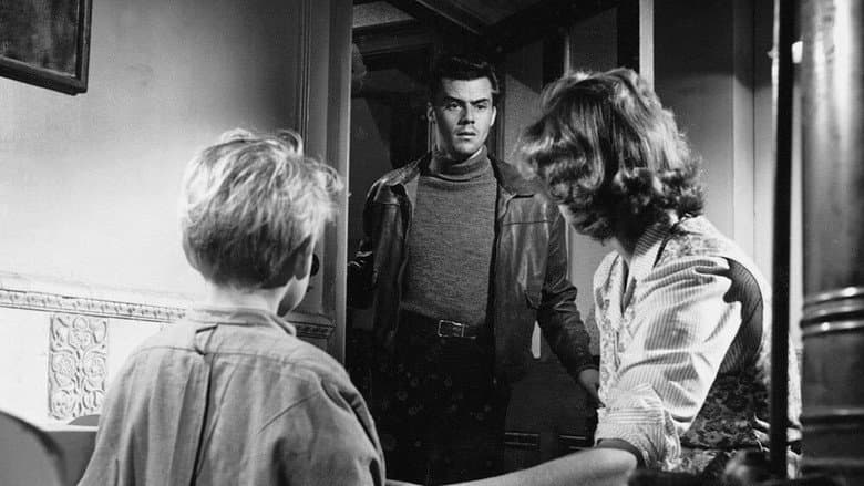 Hunted still
