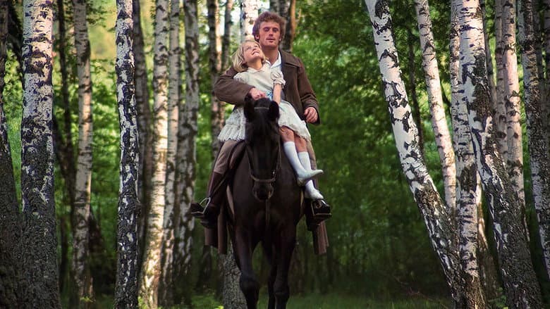 The Birch Wood still